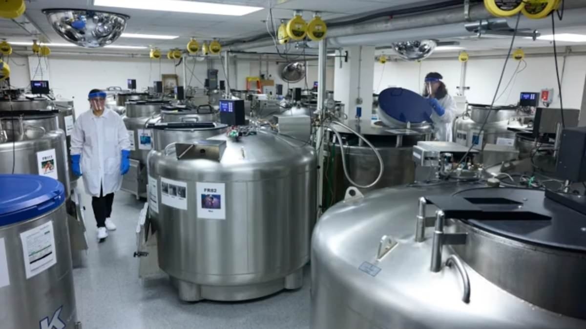 Harvard will destroy 1.5million samples that could hold the key to stopping colon cancer epidemic