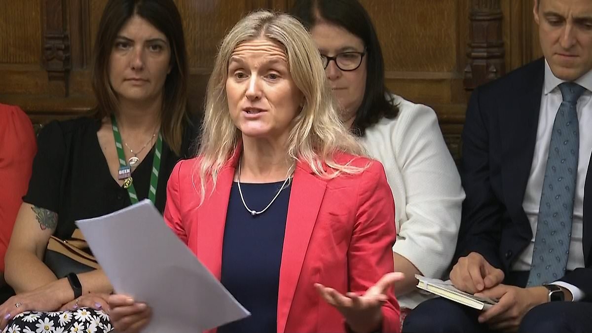 Lords peers vow to fight law on assisted dying as they warn it may not 'see the light of day' despite narrow backing by MPs