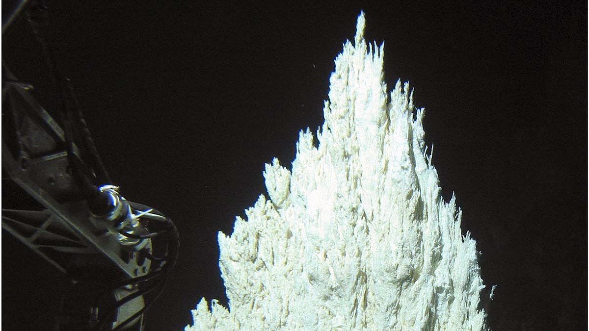 Ancient 'lost city' found at bottom of the Atlantic Ocean holds clue to origins of life