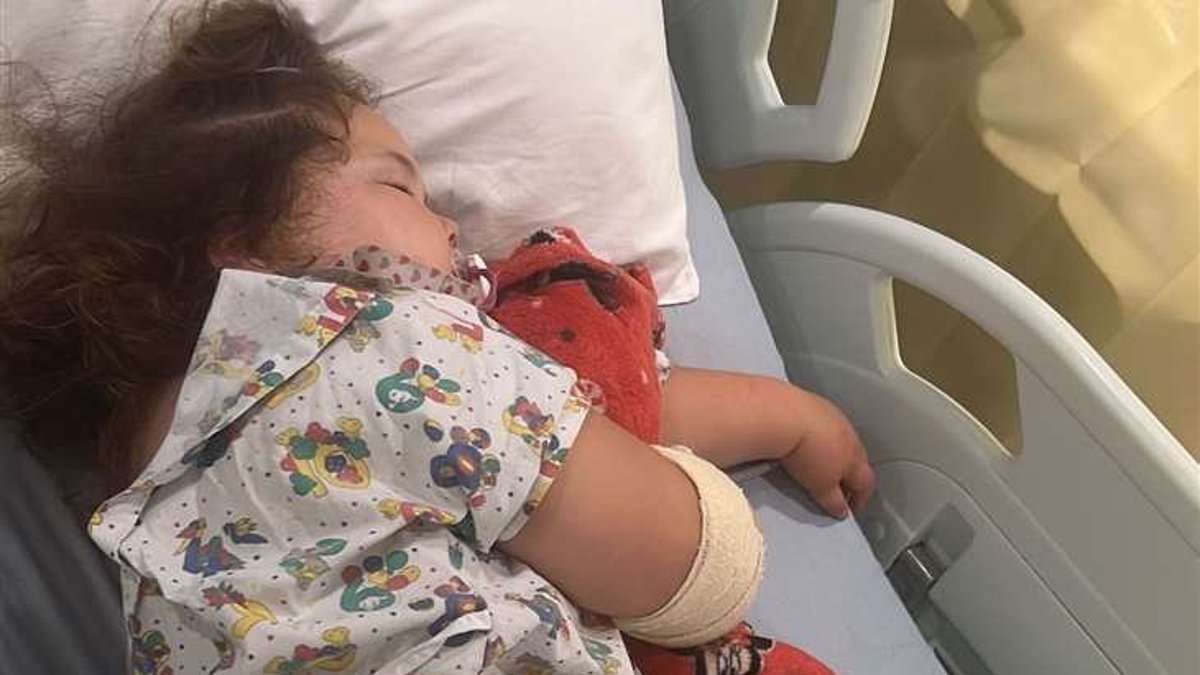 Girl, three, has arm ripped open by cockapoo as her father is forced to 'hold her skin together' after attack outside primary school