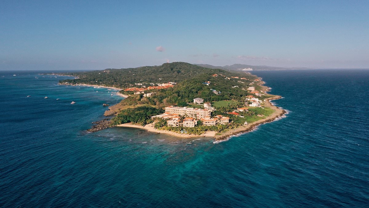 The paradise island where millionaires go to avoid death (and taxes): Isle for the libertarian super-rich attracts many more like Bryan Johnson - the biohacker who wants to live forever