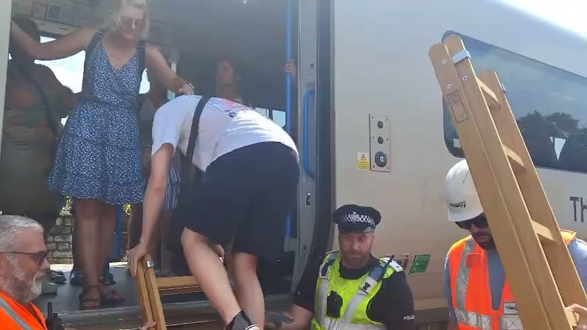 EXCLUSIVE Inside the hell trains: People were starting to pass out and some were taking their clothes off, say passengers stuck in crammed carriages for hours on hottest day of the year