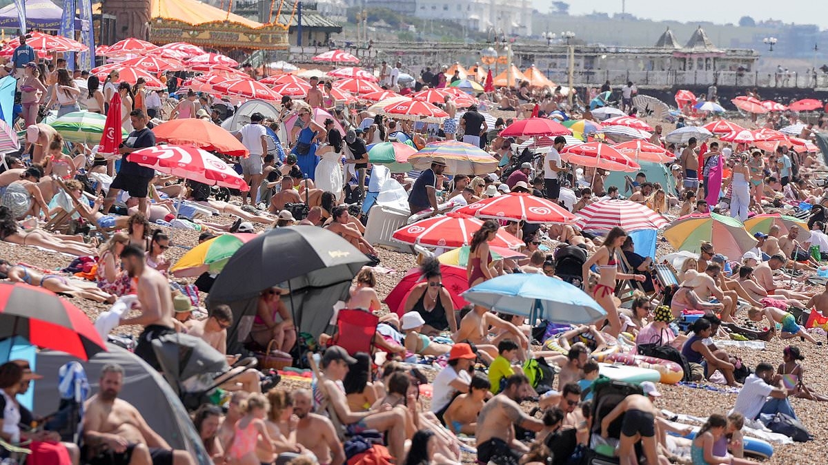 Britain swelters on hottest day of the year as temperatures soar towards 34C and experts say 600 will die in roasting heatwave