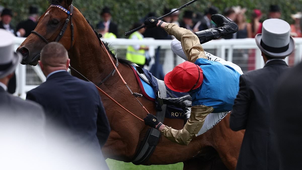 Royal Ascot Jockey FLOORED by horse moments after winning race as King Charles III watches on in shock