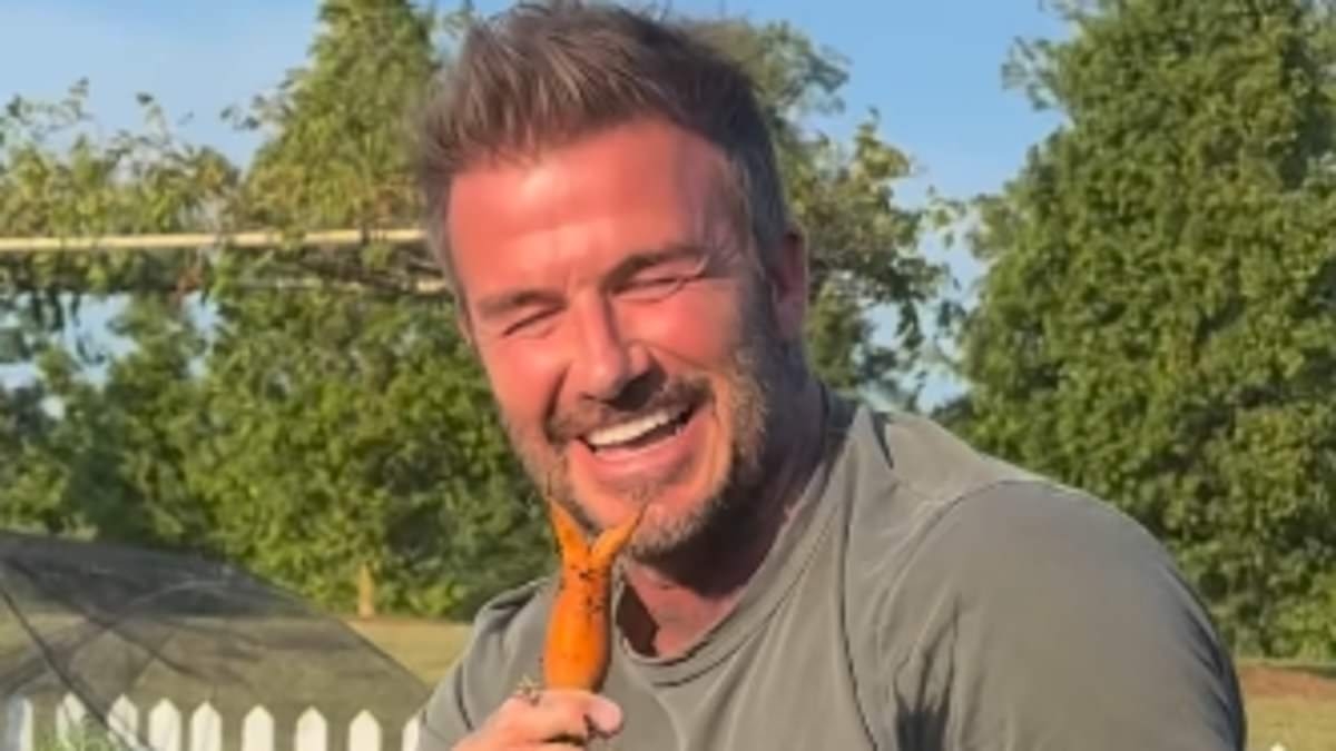 David Beckham sends wife Victoria into hysterics with his latest gardening adventures as he makes a very shocking discovery in his carrot patch
