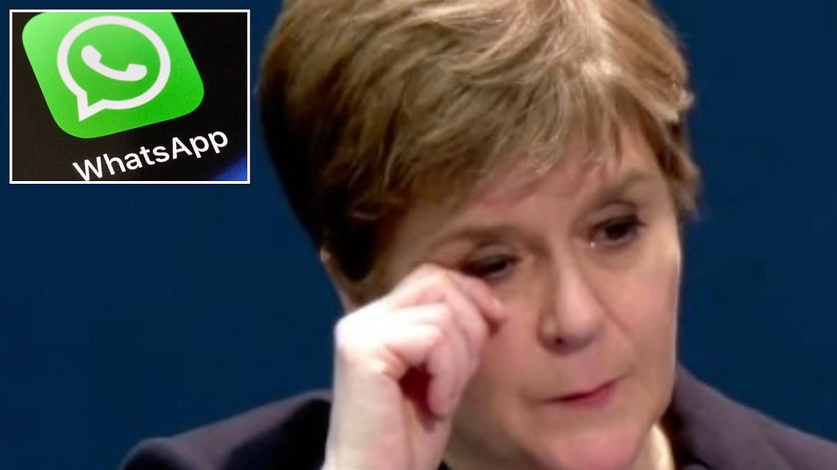STEPHEN DAISLEY: We're governed by a born-to-rule elite...and the WhatsApp scandal shows EXACTLY how out of touch they are