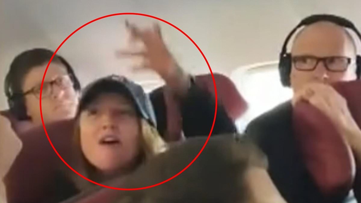 Hell breaks loose on plane as passenger is REMOVED from a flight - as trivial reason for altercation with airline crew emerges