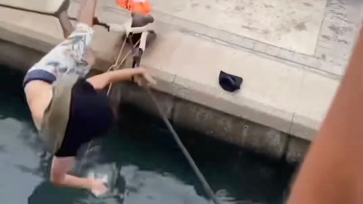 Shocking moment man and woman fall into the sea as brutal punch-up breaks out in Ibiza after 'Brits are asked to leave boat party'