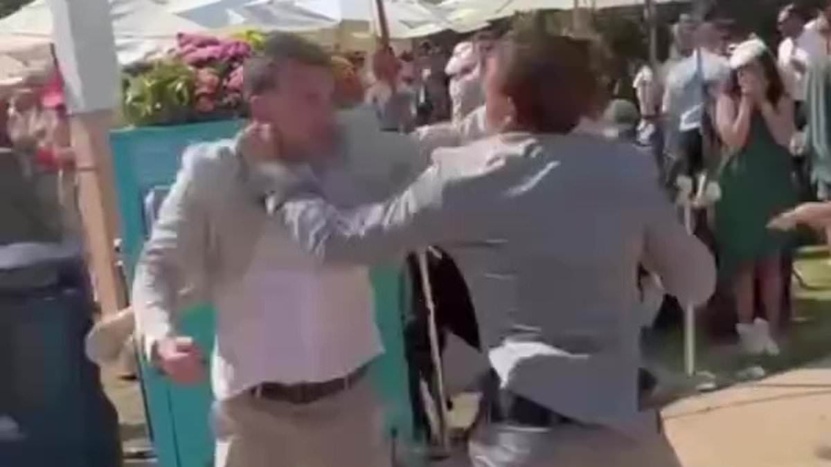 EXCLUSIVE Royal Ascot punters 'moved like professional fighters' during brawl in front of shocked onlookers and were 'part of the same group', says man who filmed viral footage of scrap