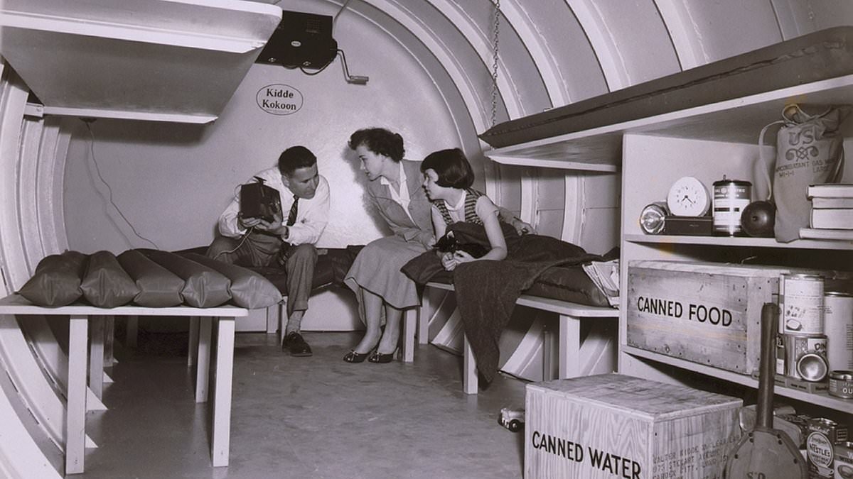 NADINE DORRIES: The most rational and sane member of my family has made a nuclear shelter in her cellar. This is why I don't blame her