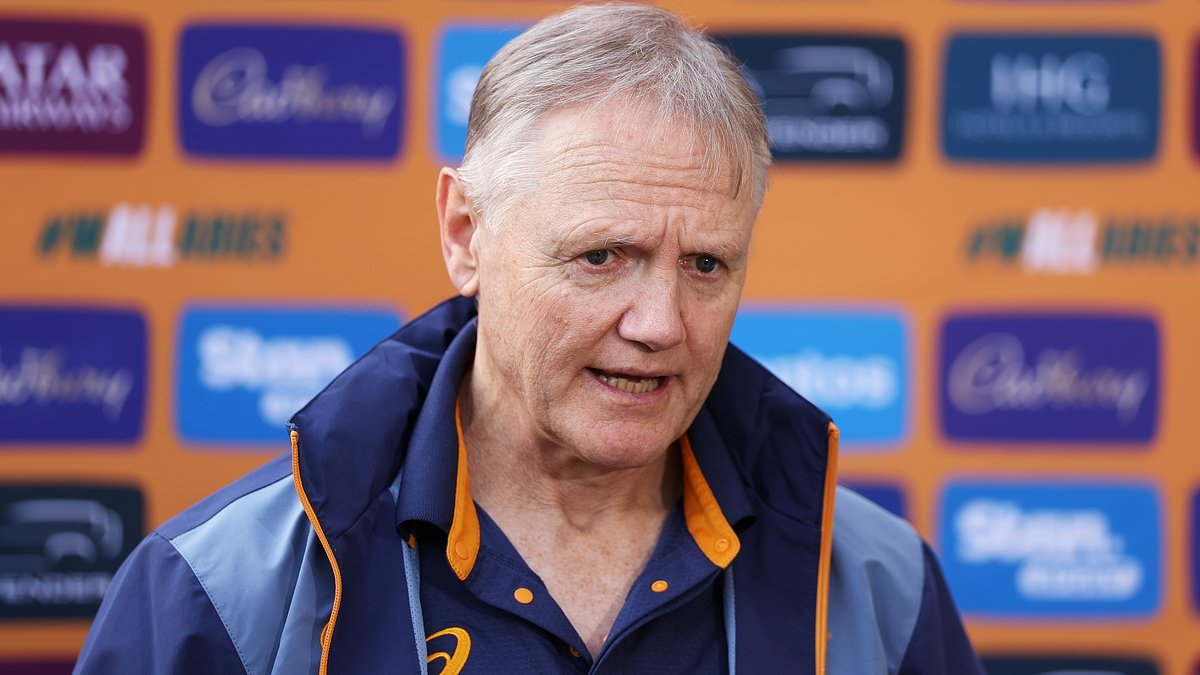 Australia boss Joe Schmidt MUST release stars for warm-up matches or Lions tour will be a farce, writes NIK SIMON