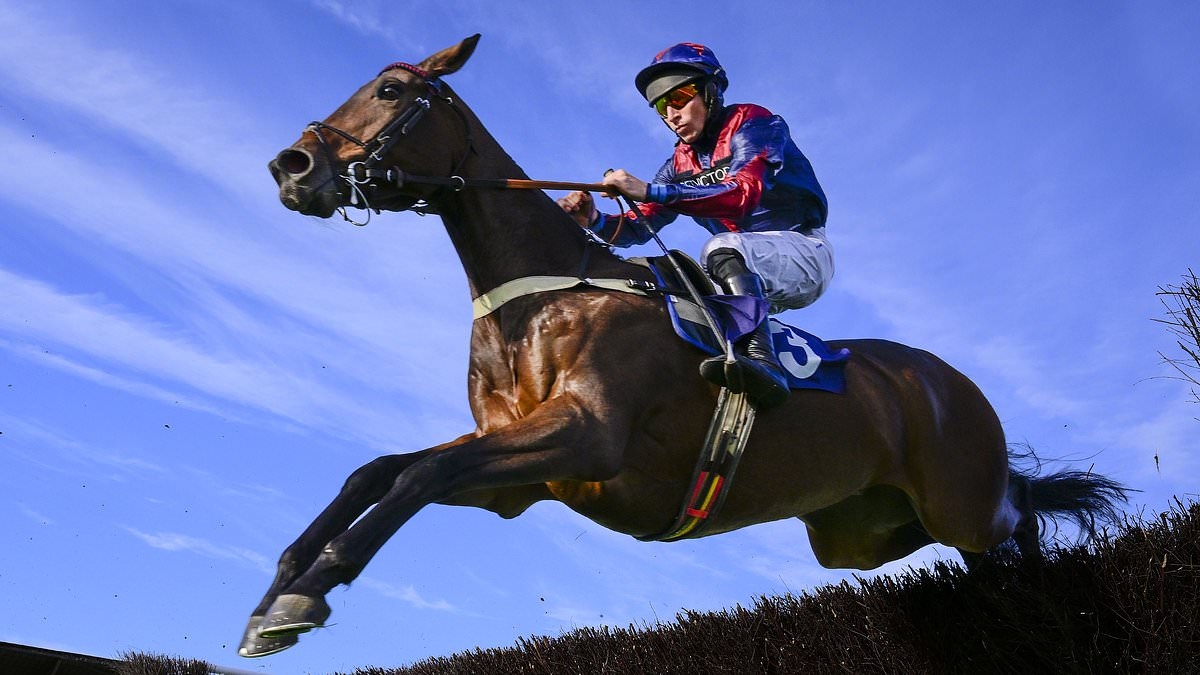 Robin Goodfellow's racing tips: Best bets for Tuesday, June 24