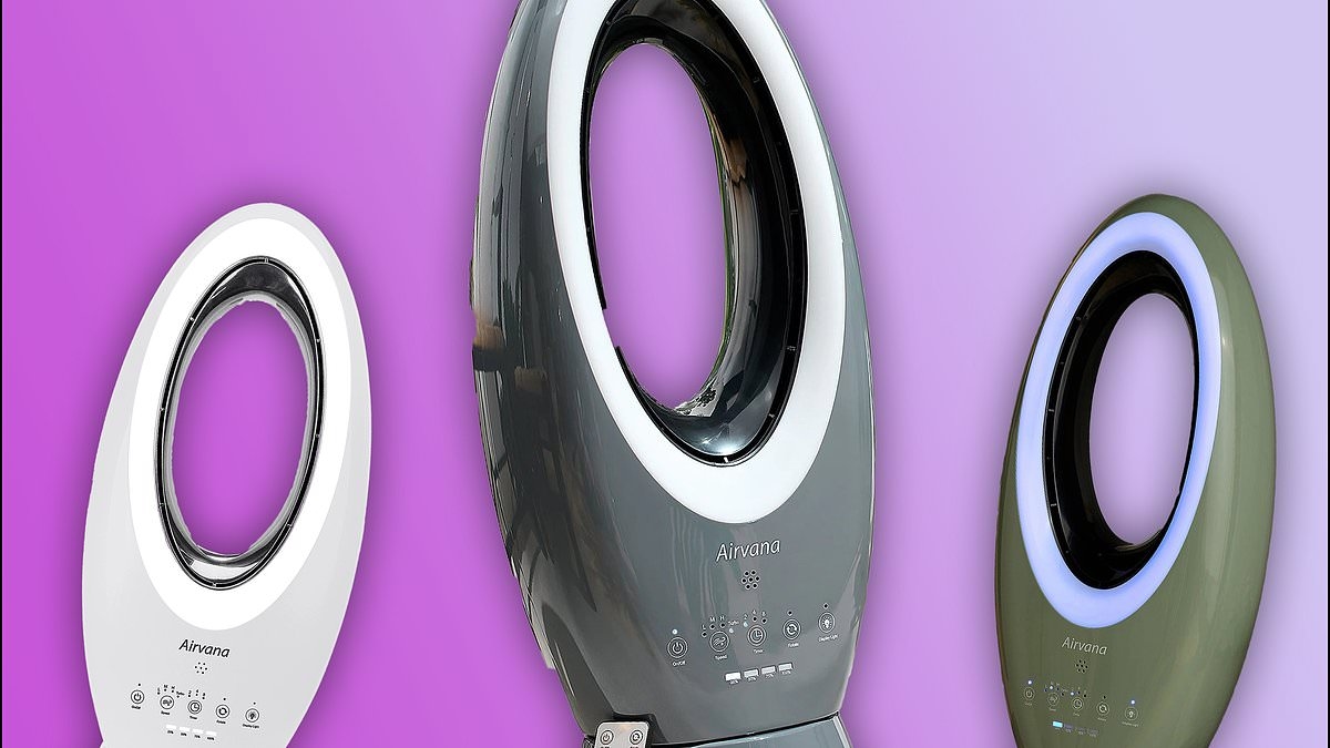 The $109 'totally quiet' cordless fan that keeps you cool for hours is now just $80 at QVC: 'The best fan ever!'