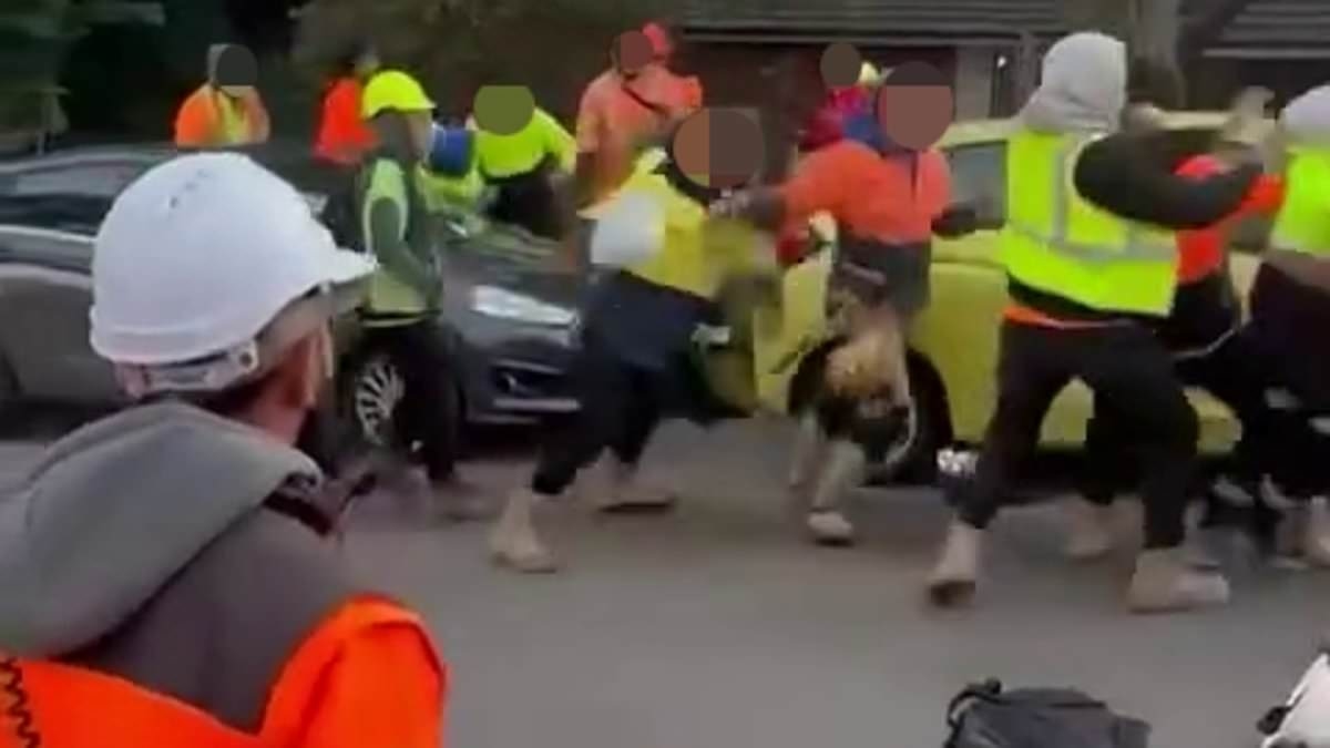Wild moment tradies throw punches after violent brawl erupts on work site
