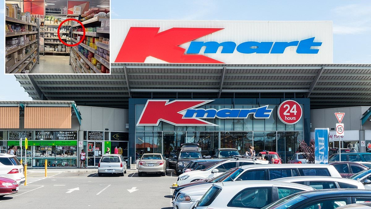 Kmart sends shoppers running over new $5 must-have item: 'I'm dying over these'