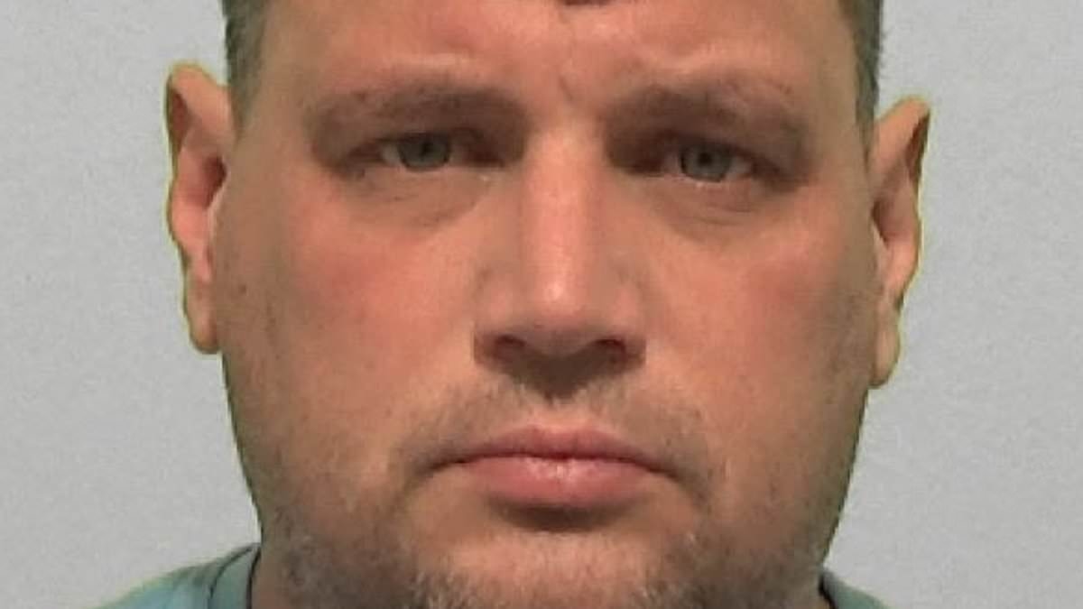Domestic abuse thug who said he was like killer Raoul Moat to terrify his partner is jailed for two years and four months