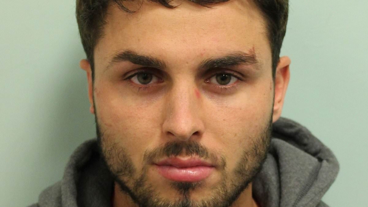 Ferne McCann's acid attacker ex Arthur Collins is 'dating' Love Island star behind bars - and she 'thinks he's The One'