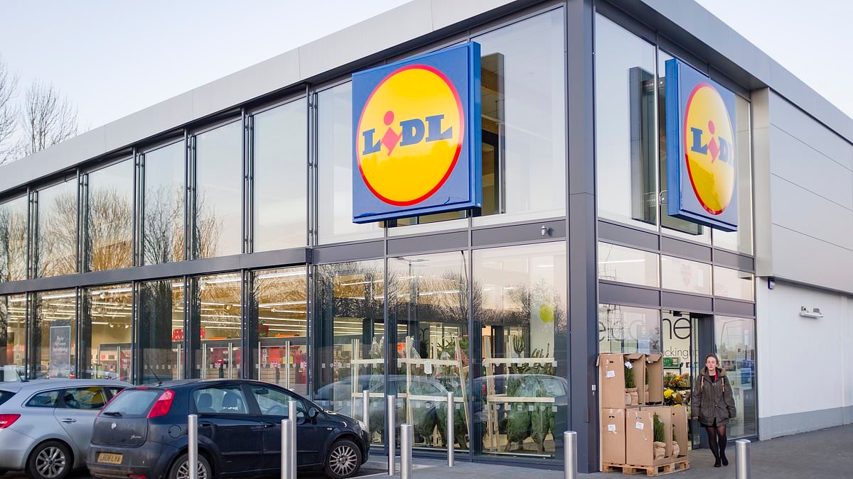 Air fryer is recalled by Lidl over fears they could catch fire
