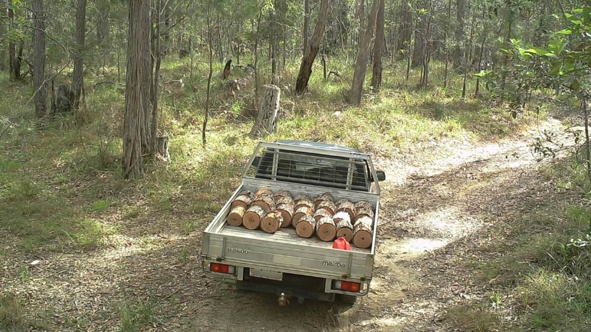 An Aussie ute driver could be hit with massive fine after they were spotted with a load of wood in a national park