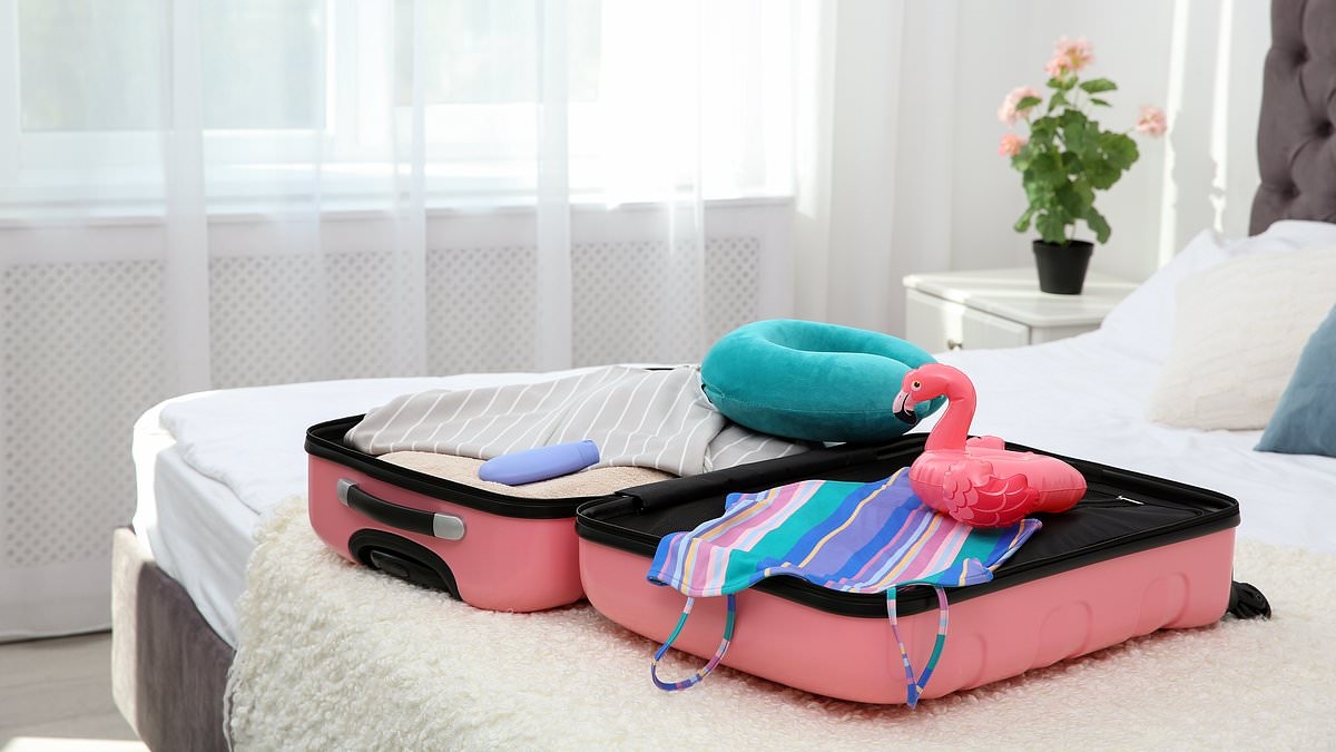 Expert reveals the VERY common travel item that's 58 times dirtier than public toilet seats - and how to clean it properly
