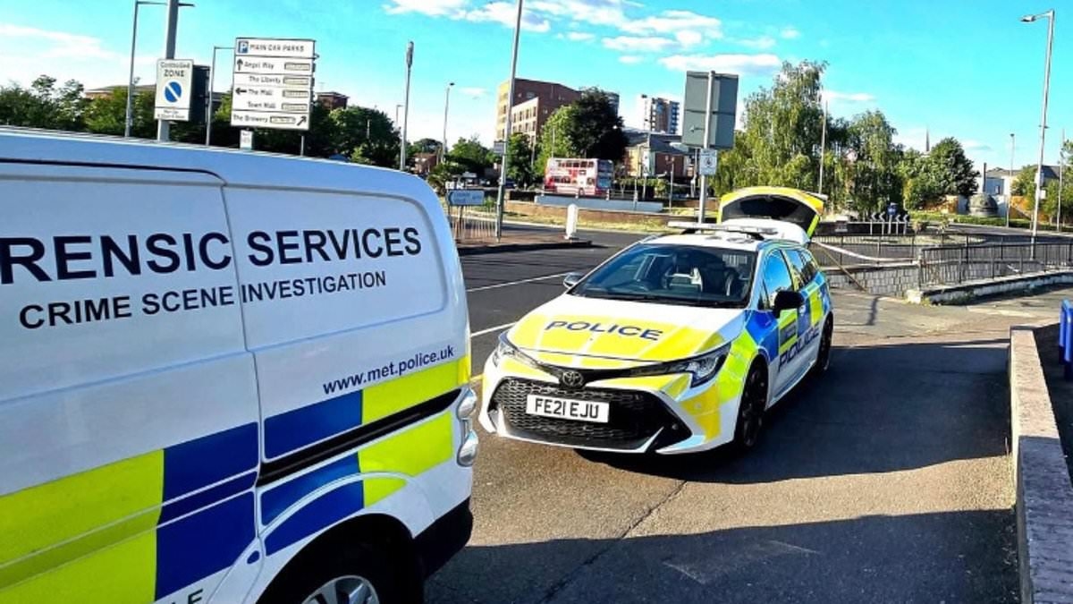 Schoolgirl 'raped' at underpass as she walked at night: Police launch manhunt for attacker
