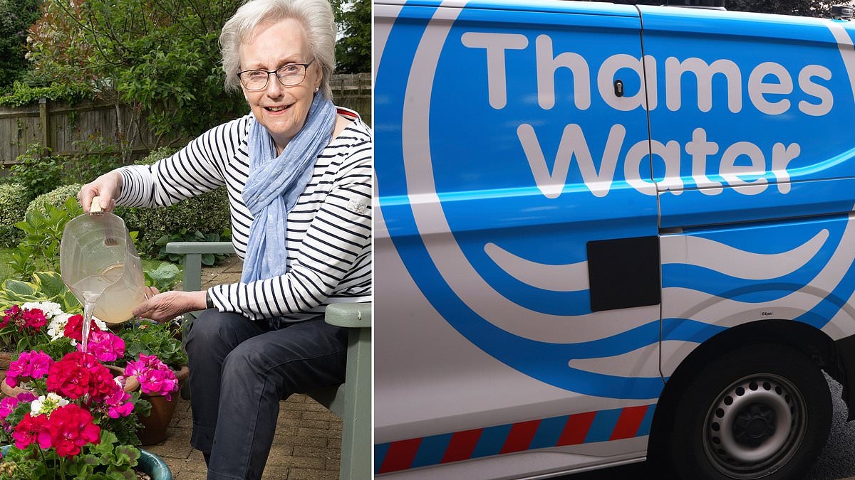 Janice, 80, limits cups of tea, is scared to flush the loo and has banned baths and hosepipes - so why has Thames Water put UP her bill 170%?