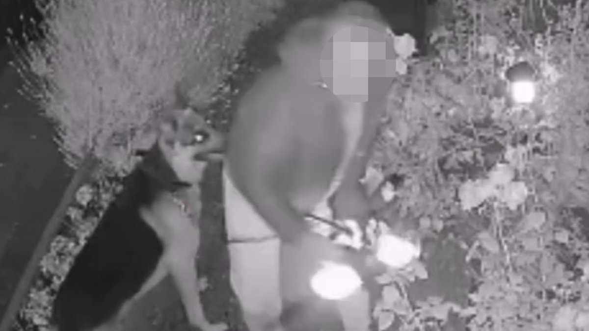Moment woman brazenly 'steals' four solar lights from front garden while walking dog
