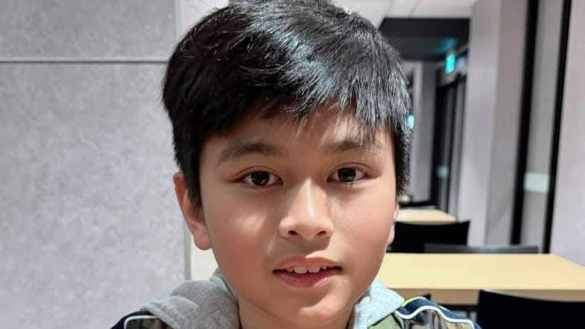 Tragedy as young boy dies after catching a routine flu leaving family shocked: 'He fought hard to the very last minute'