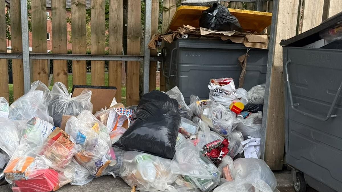 EXCLUSIVE Britain's biggest Army base is 'overrun by rats' due to overflowing bins and fly-tipping - with even burnt-out cars sitting abandoned behind its gates, soldiers claim