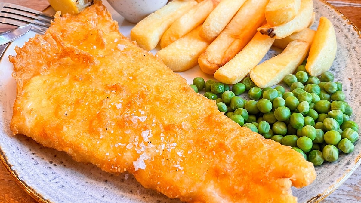 Small fish and chips? Cod have shrunk by almost 50% over the last 30 years, study warns
