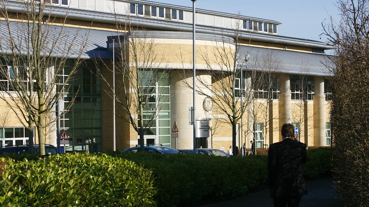 Ex-boyfriend, 46, dodges jail after making solicitor's life 'living hell' with harassment campaign which included leaving her abusive voicemails and following her car