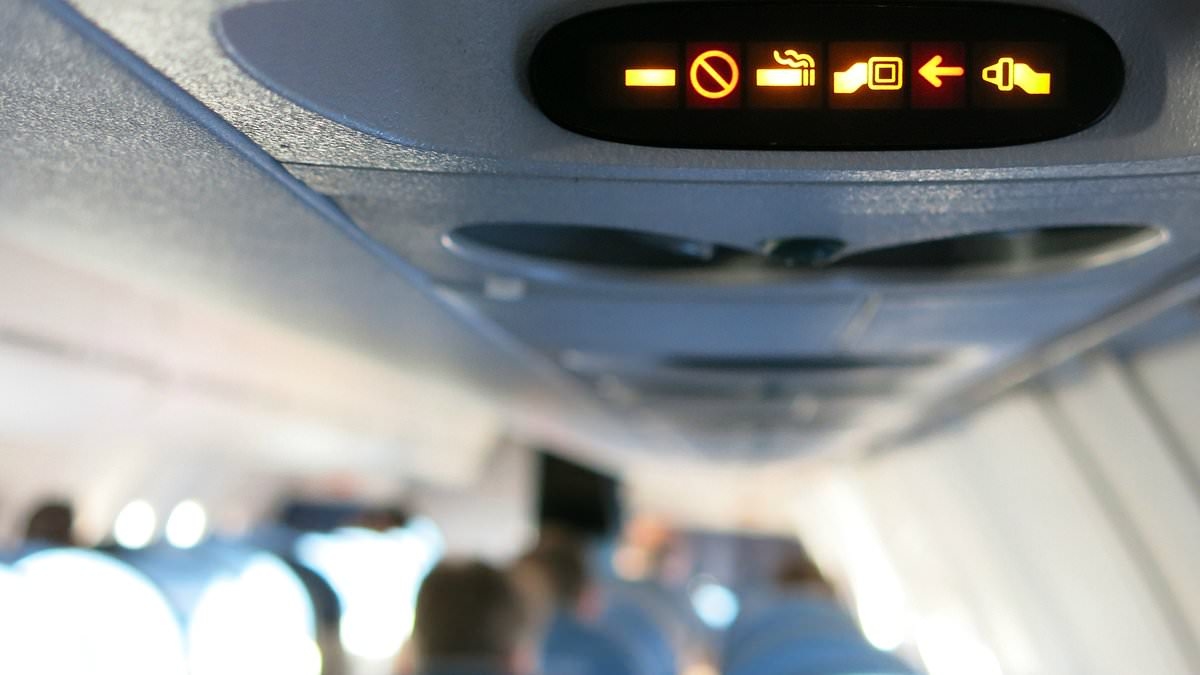 People are just realizing why there are still ashtrays in airplane bathrooms