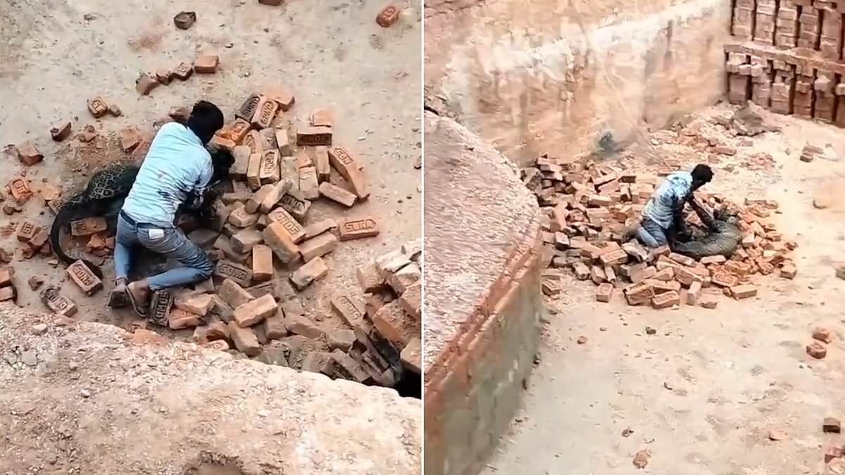 Shocking moment young man survives brutal leopard attack after wrestling beast BARE-HANDED as locals hurl bricks to fend it off