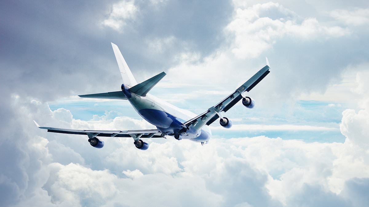 People left disgusted after discovering what 'blue ice' is on planes