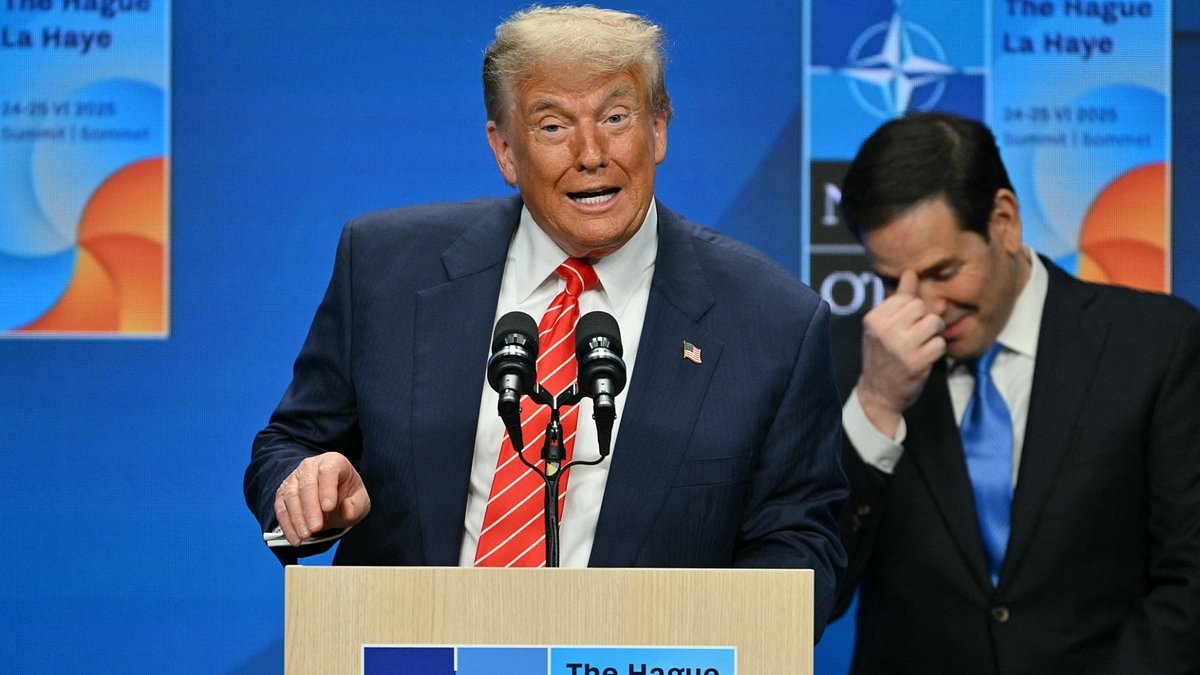 'I didn't call him daddy!' Nato chief insists he did not call Donald Trump daddy... like that