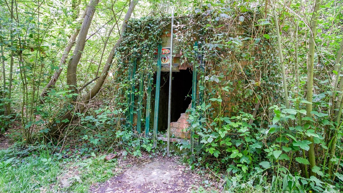 Ideal for a first-time hider: World War II bunker on sale in Kent is perfect for those hoping to getaway from a potential nuclear global apocalypse