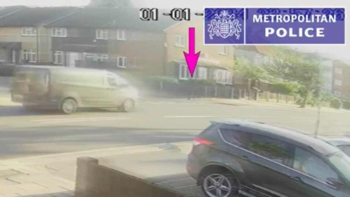 Horrific moment sword killer rammed van into victim seconds before he stabbed tragic 14-year-old schoolboy death in video showing how Hainault rampage unfolded
