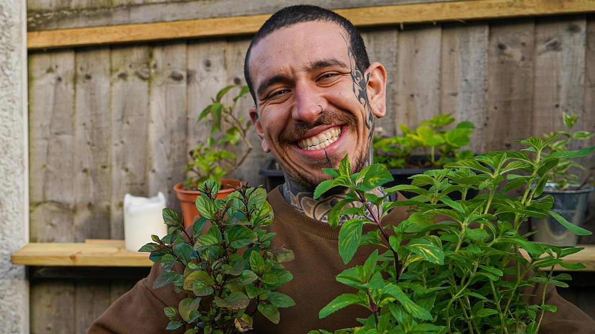 EXCLUSIVE I grow almost all my own food on my small patio garden and have saved THOUSANDS on grocery bills
