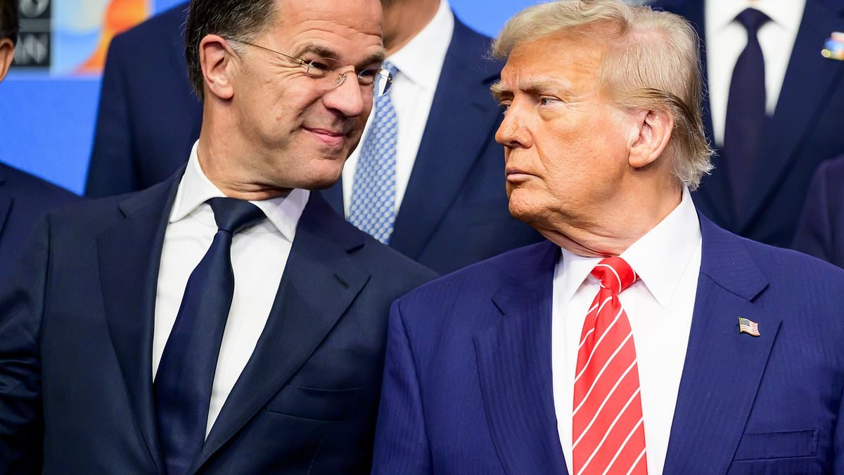 Nato's charm wins over 'daddy' Trump: U.S. will stand by its allies, he says… as they pledge extra defence spending