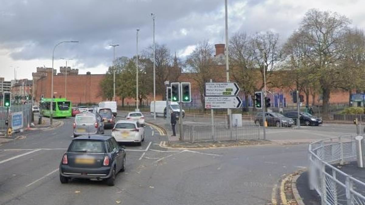 Woman is fighting for her life after 'BMW driver flipped car and then attacked her' as she walked down the street