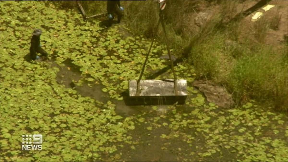 BREAKING NEWS Chilling development after two people were tortured, stuffed alive into a toolbox and dumped in a lagoon near Brisbane