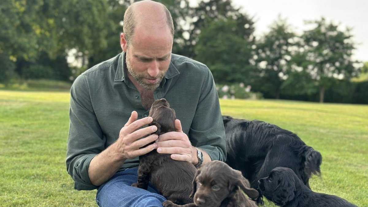 Peta brands William and Kate 'staggeringly out of touch' for allowing their dog to have puppies