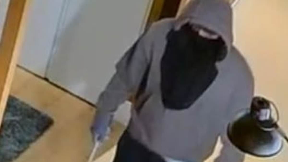 'San Pedro Prowler' targeting Brits' homes on Costa del Sol as victims sleep: Terrifying video shows masked burglar stalking through properties