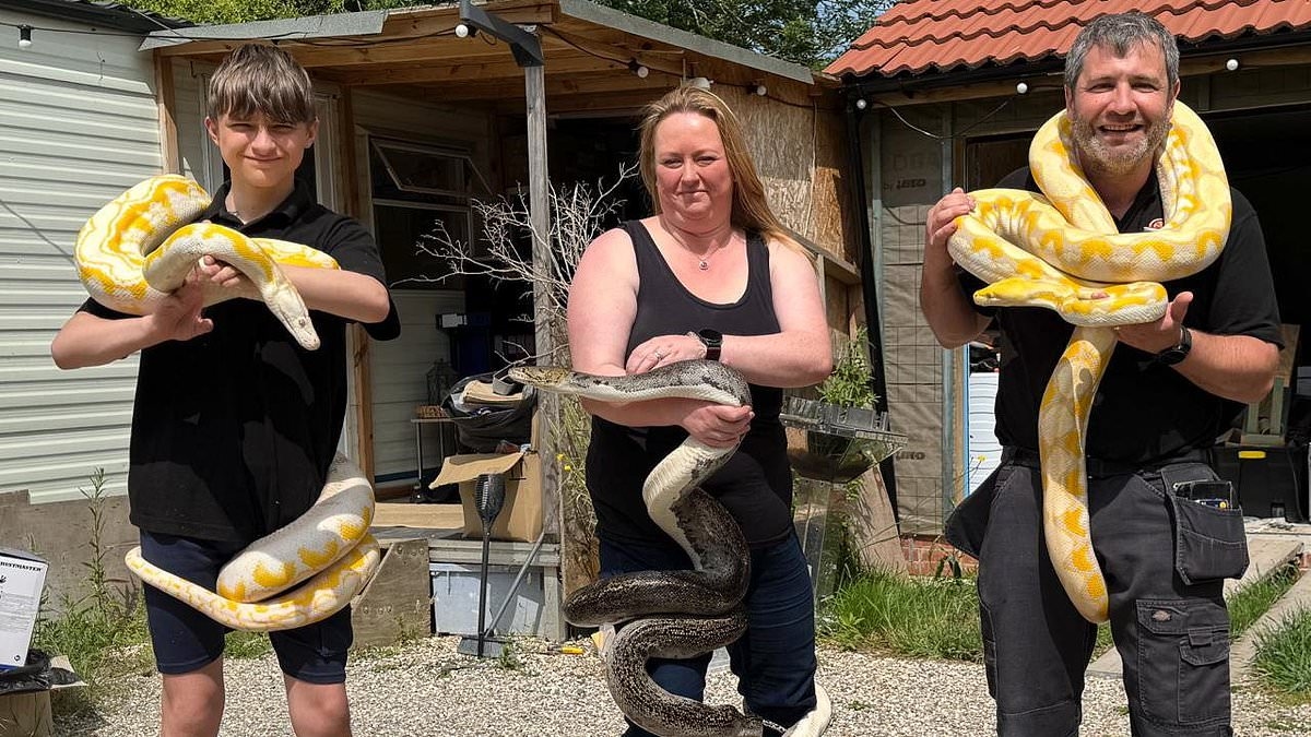 Snake's alive! Fifth monster python is caught in British countryside - as police warn locals to keep pets on a lead because 'small dogs would be a nice meal for them'