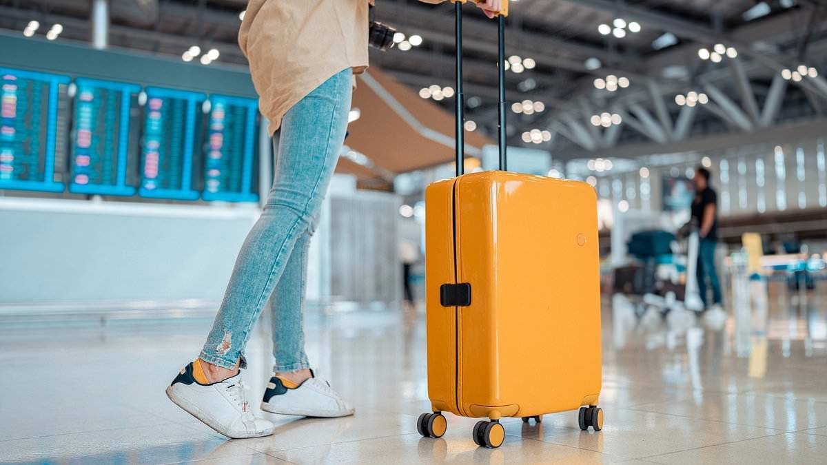 Passengers travelling to Europe could take cabin bag on board for FREE - as new rules will ban airlines from charging extra