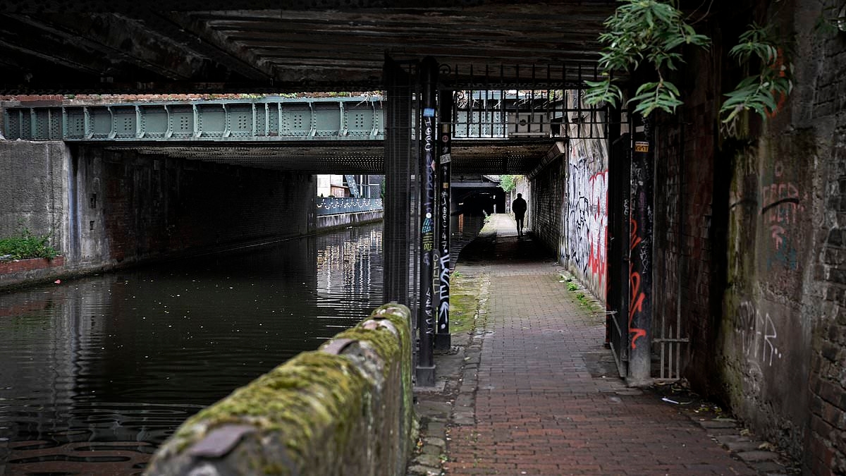 'Serial rapist' lay in wait for 'easy prey' revellers in party district then attacked them in darkened back streets, court