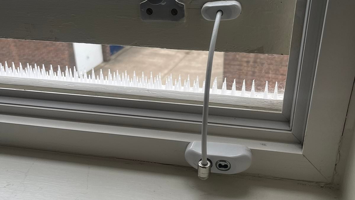 Americans are losing their minds over the 'dystopian' way British windows open