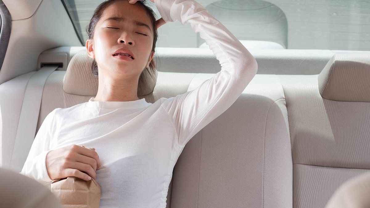 Travellers reveal little-known smartphone feature that stops travel sickness