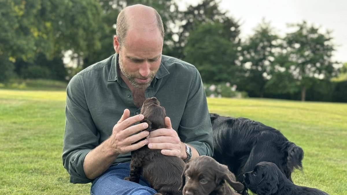 Animal rights fanatics Peta are branded 'disgusting and outlandish' for hitting out at William and Kate because they allowed their dog to have puppies