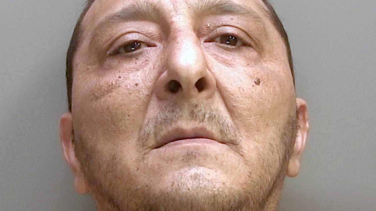 Impatient driver who killed his own wife in head-on crash while late for work is jailed for 10 years